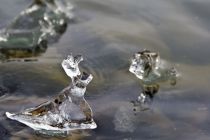 IMG 0007