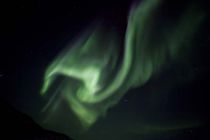 IMG 0026