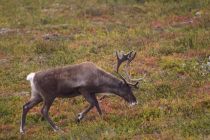 IMG 6051 Kopie 01