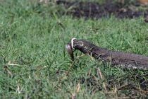IMG 6896