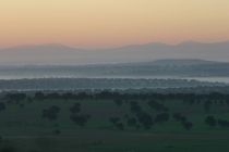 IMG 7573